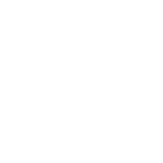 P.Reichsrath